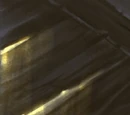 Wrathion