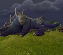 Darkhide