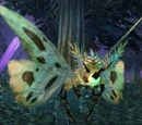 Vale Moth