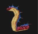 Cobra Hatchling
