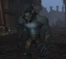 Rampaging Worgen