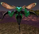 Hazzali Wasp