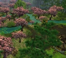 Arboretum (Jade Forest)