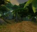Cape of Stranglethorn
