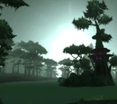 Terokkar Forest