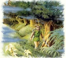 Lost Woods