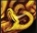 The Medusa Plot