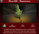 Rosemary