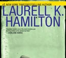 Bullet (novel)
