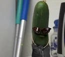 Cucumber