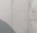 Squash