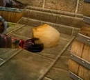 Focusing Stone