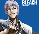 Gin Ichimaru/Image Gallery