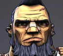 Borderlands Wiki