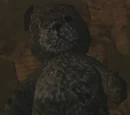 Teddy Bear