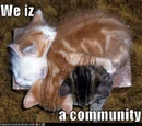 Sannse/A Wiki Citizen's Guide to Communities
