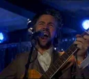The Flaming Lips