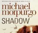 Shadow
