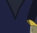 V.V.