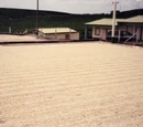 Dry process