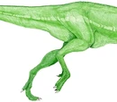 Neovenator