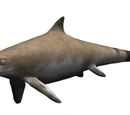 Ichthyosaurus