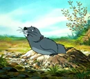 Gopher (disambiguation)
