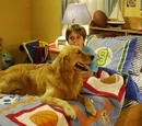 Air Bud (dog)