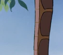 Kaa