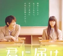 Kimi ni Todoke