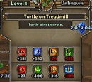 Turtle on Treadmill