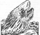 Bunyip