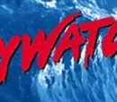 Baywatch: The Red Knights