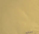 Duran Duran - (1993) - The Dilate Your Mind Tour