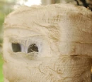 Block Mummies