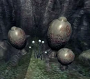Watcher's Eye