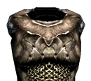 Cuirass of the Savior's Hide