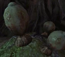 Blind Watcher's Eye