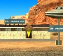 Lil' Probe Inn