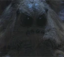 Aragog