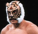 Furia Tigre