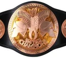 Unified EMW/NIWA World Tag Team Championship