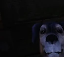 Dog (Fable II)