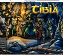 Tibia