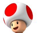 Toad (species)