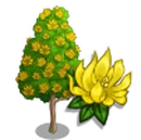Champak Tree-icon.png