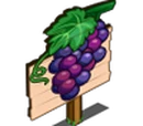 Grape