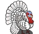 Turkey Roost