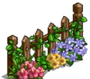 Apple Tree