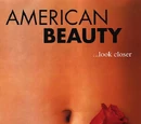 American Beauty
